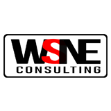 Wsne Consulting logo