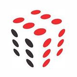 Rolling Arrays Consulting Pvt Ltd logo