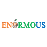 Enormous It Services logo