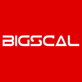 Bigscal Technology Pvt Ltd. logo