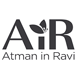 AiR Institute Of Realization logo