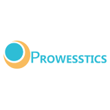 Prowesstics It Services