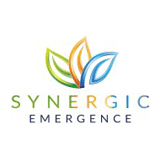Synergic Emergence logo
