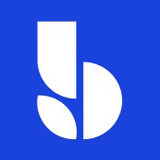 Bluevine logo