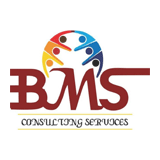 BMS Consulting Services