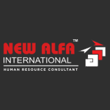 NEW Alfa International Global Hr Llp logo