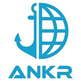 Ankr Consulting logo