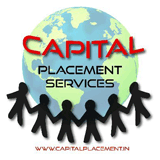 Capital Placement Services logo