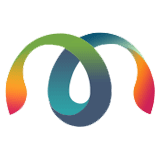Master Software Solutions logo