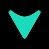 Vialto Partners