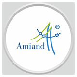 Amiand Consulting logo