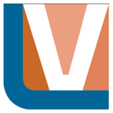 Lotvue India logo