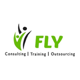 Fly Consulting Services logo