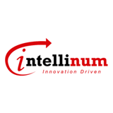 Intellinum Solutions