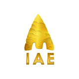 Ingenium Automation India logo
