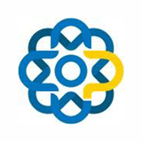 Punon Technologies logo