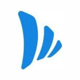 Team Waves logo