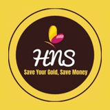 HNS Gold logo