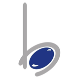 Bluestone Tech Labs logo