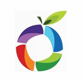 Grapelime Infotech logo