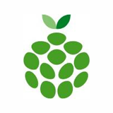 Sithafal Technologies logo