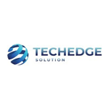 Techedge Inout Solution logo