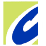 Crown Solutions logo