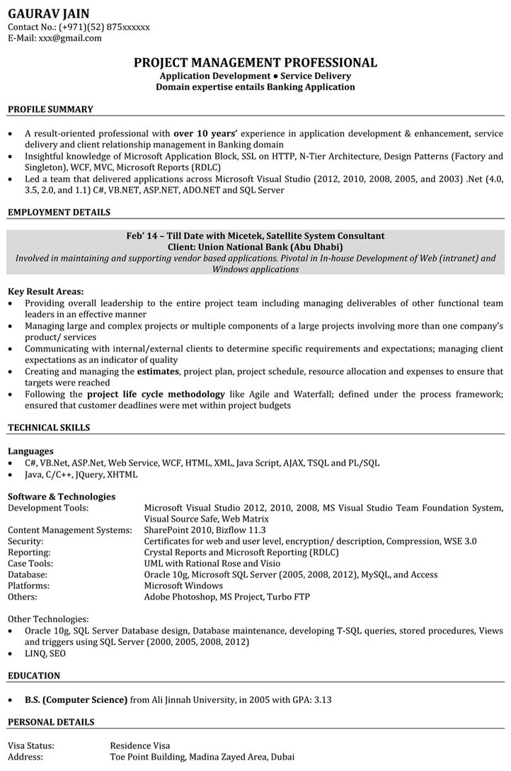 Free download resume format software developer