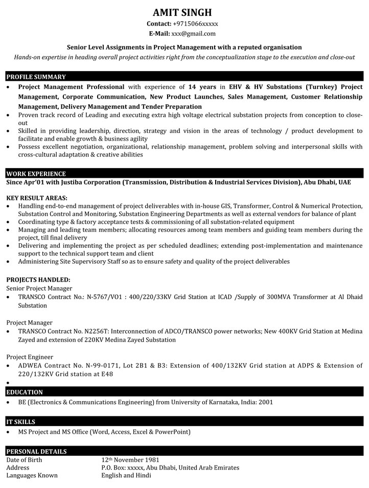 project management resume india