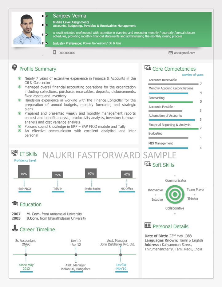 Visual Resume Samples | Visual CV | Visual Curriculum Vitae Format