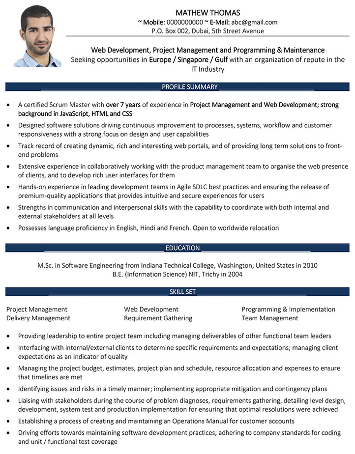 Web Developer CV Format - Web Developer Resume Sample and ...