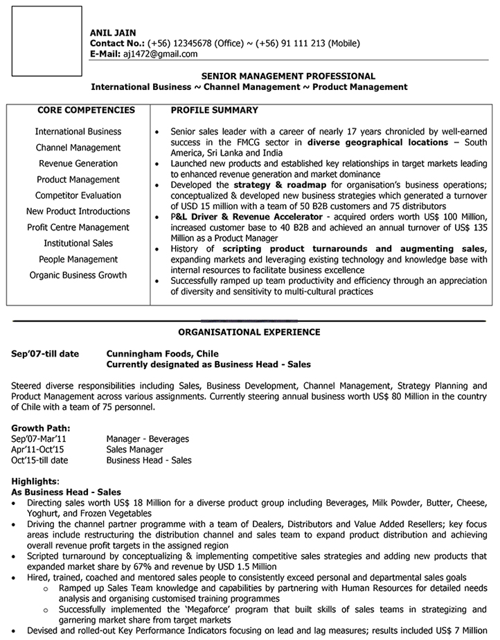 International Sales Cv Format International Sales Resume Sample And Template